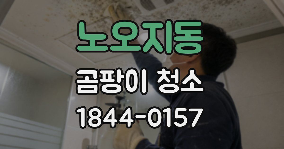 노오지동 곰팡이 청소