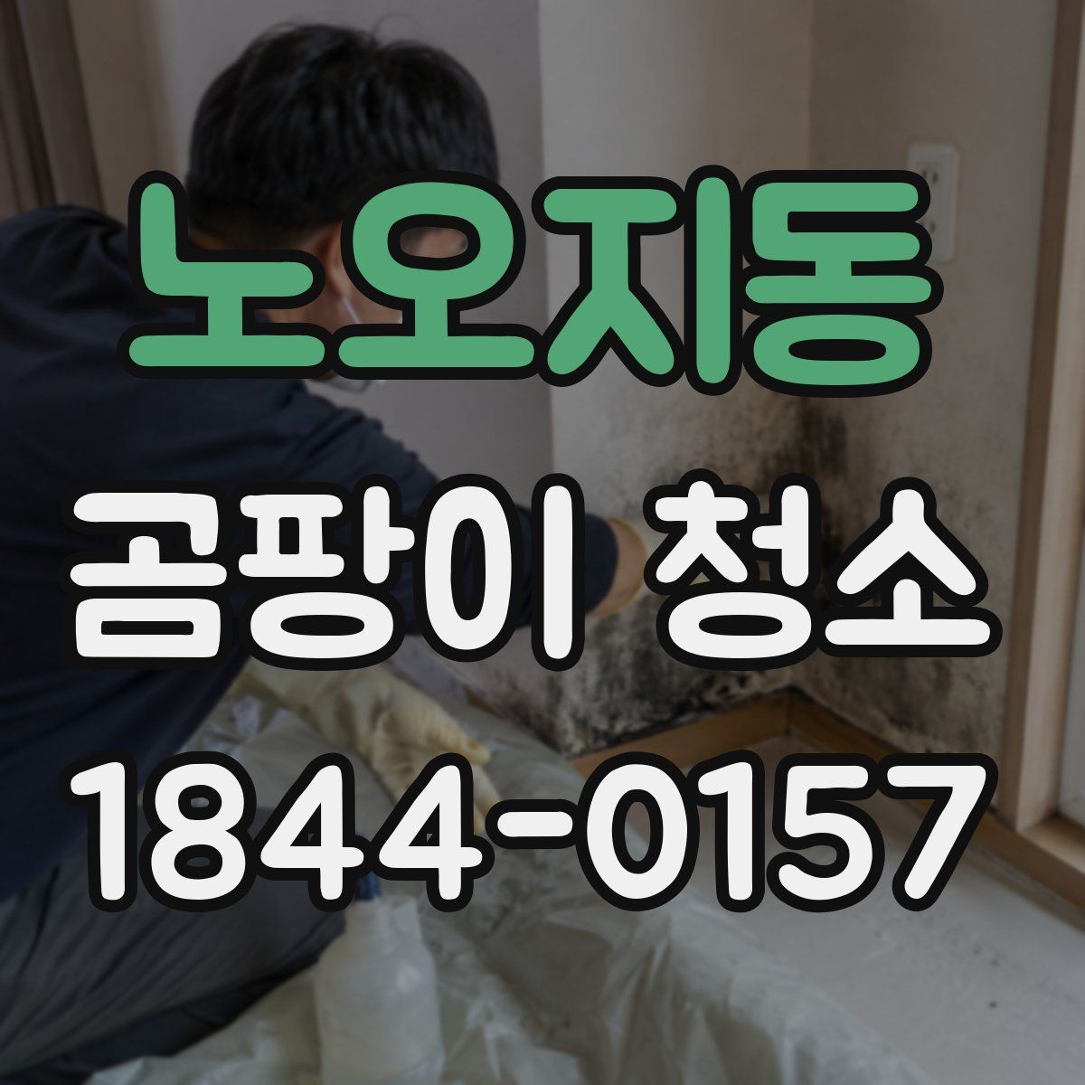 노오지동 곰팡이 청소