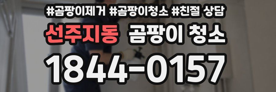 선주지동 곰팡이 청소