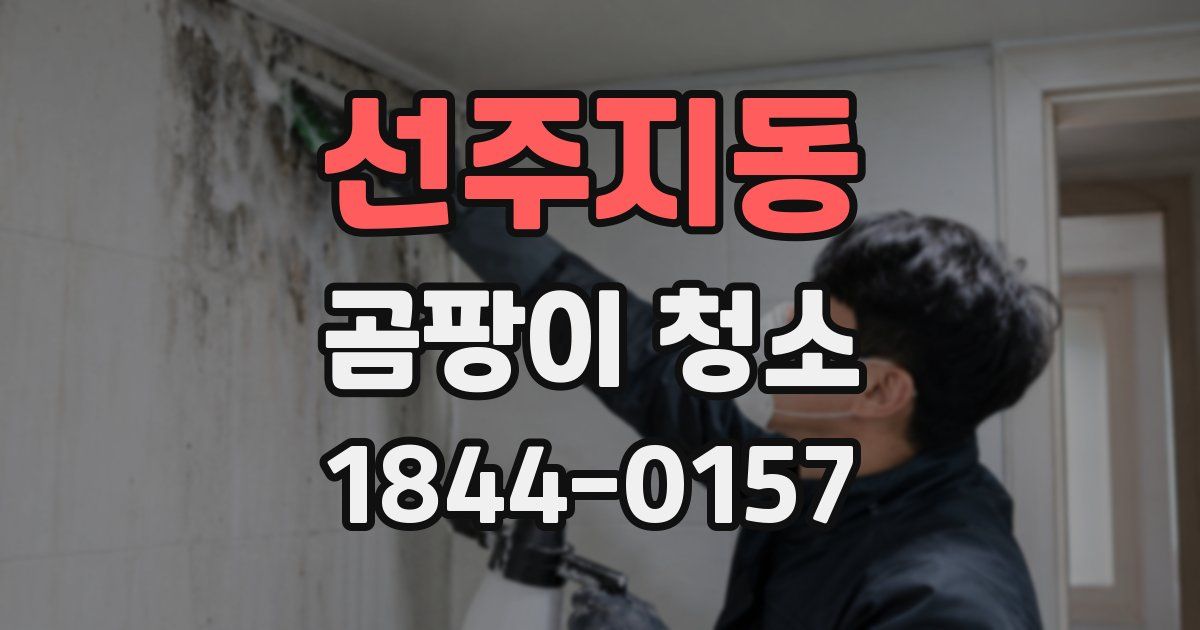 선주지동 곰팡이 청소