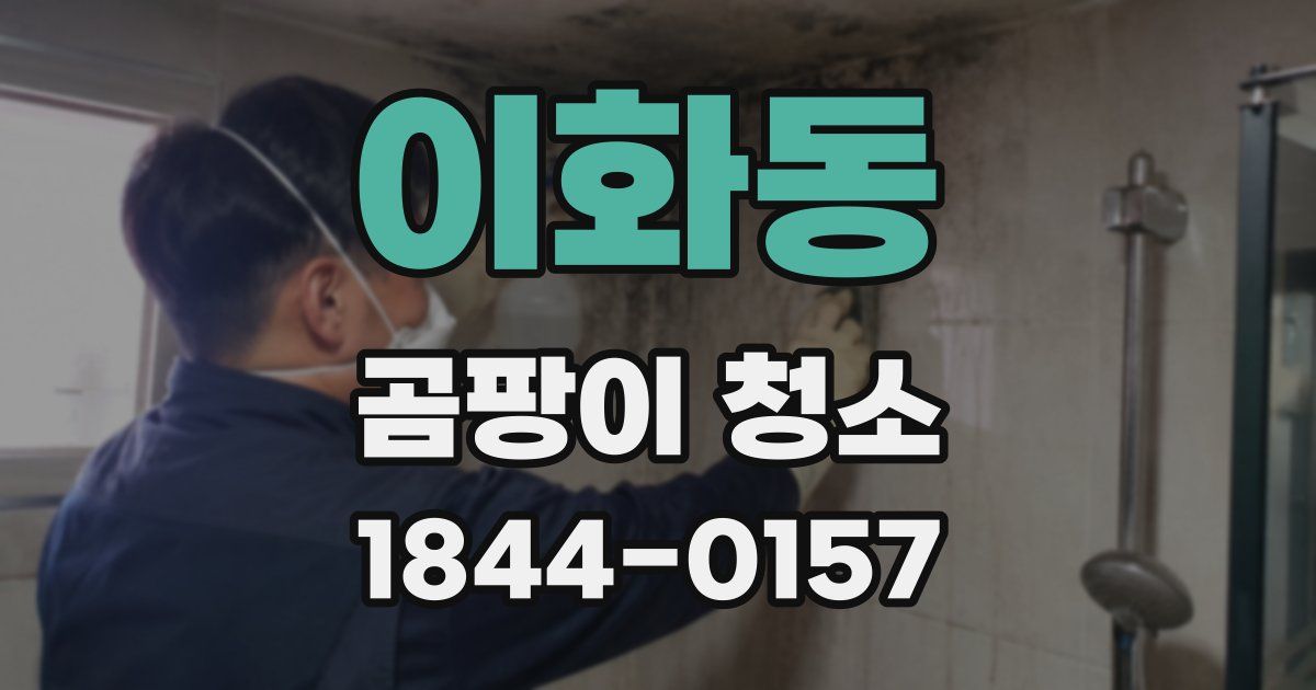 이화동 곰팡이 청소