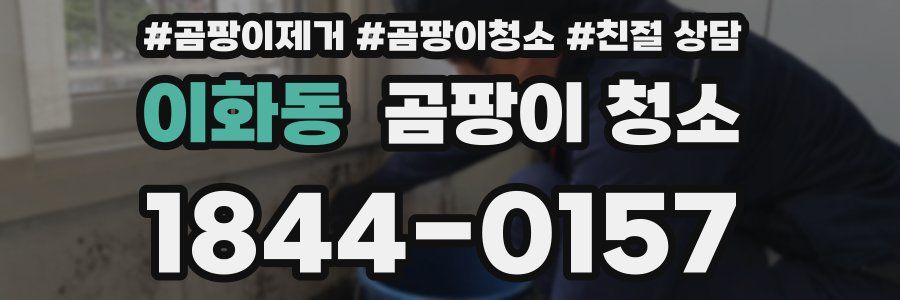 이화동 곰팡이 청소