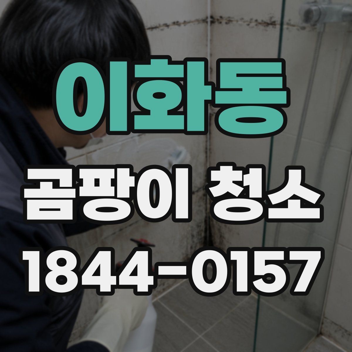 이화동 곰팡이 청소