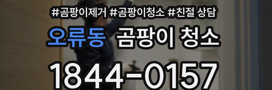 오류동 곰팡이 청소