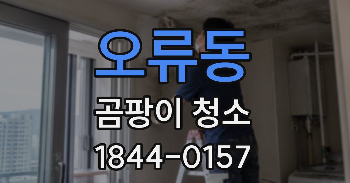 오류동 곰팡이 청소