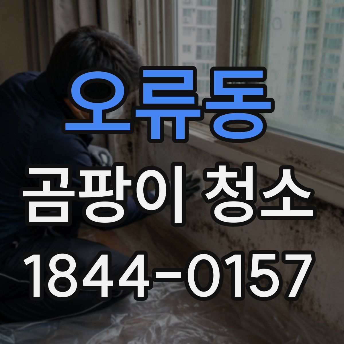 오류동 곰팡이 청소