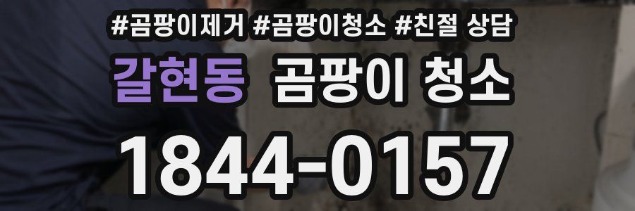 갈현동 곰팡이 청소