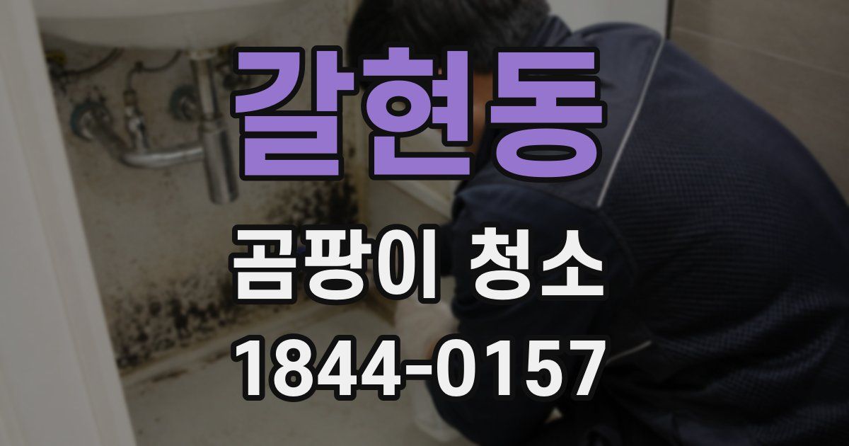 갈현동 곰팡이 청소