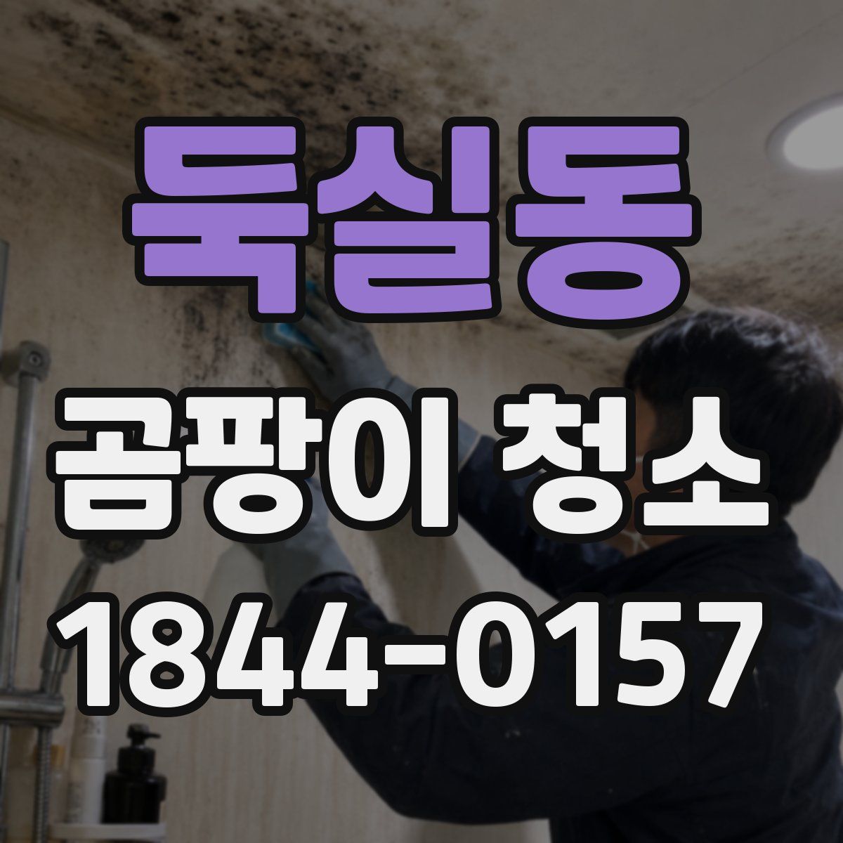 둑실동 곰팡이 청소