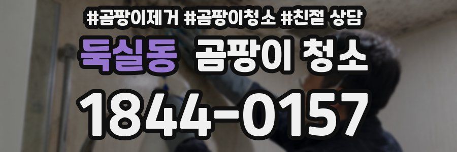 둑실동 곰팡이 청소