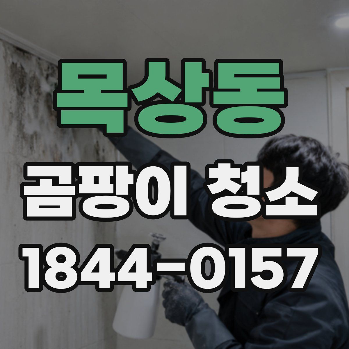 목상동 곰팡이 청소