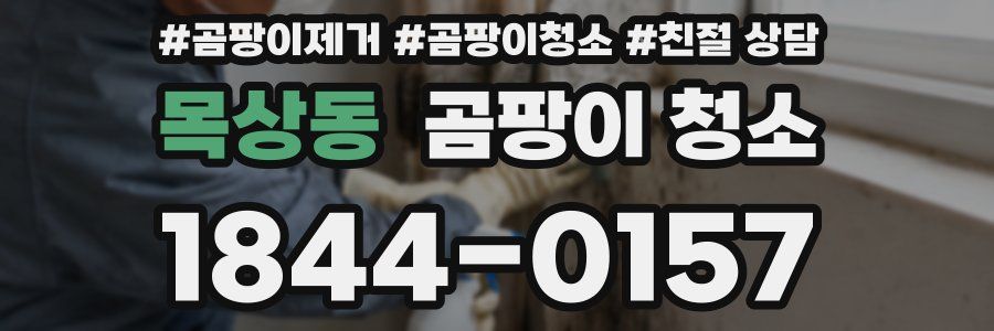 목상동 곰팡이 청소