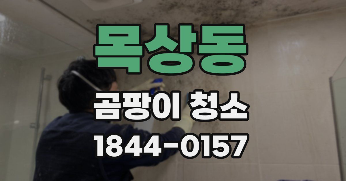 목상동 곰팡이 청소
