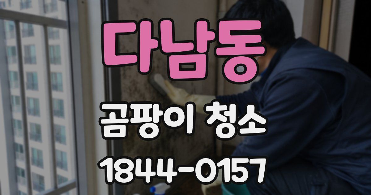 다남동 곰팡이 청소