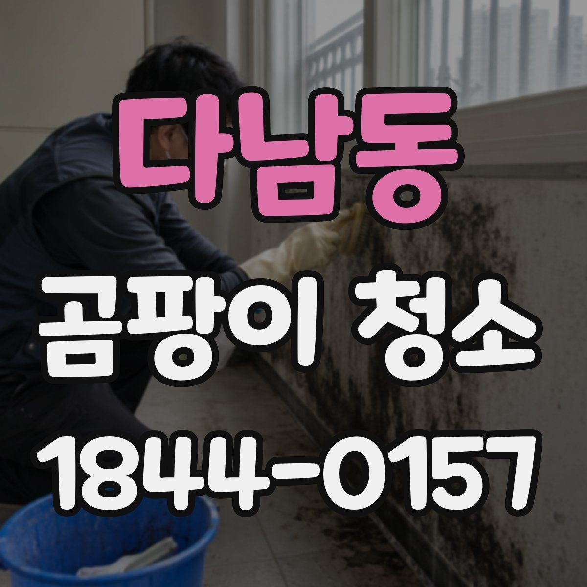 다남동 곰팡이 청소