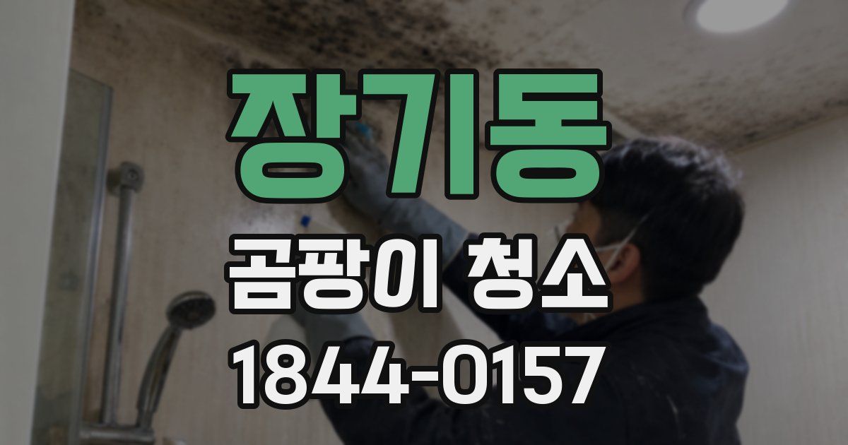 장기동 곰팡이 청소