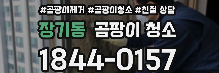장기동 곰팡이 청소
