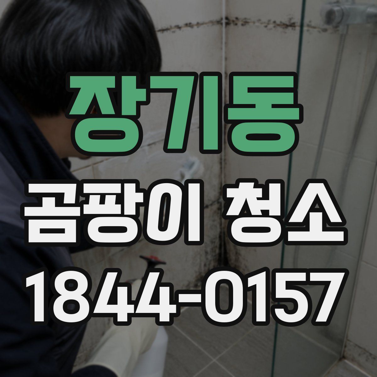장기동 곰팡이 청소