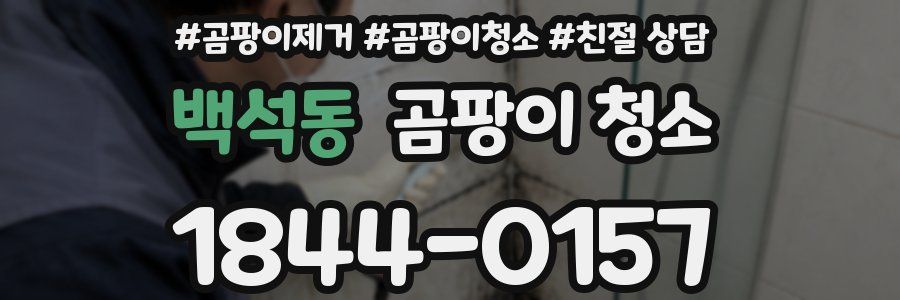 백석동 곰팡이 청소