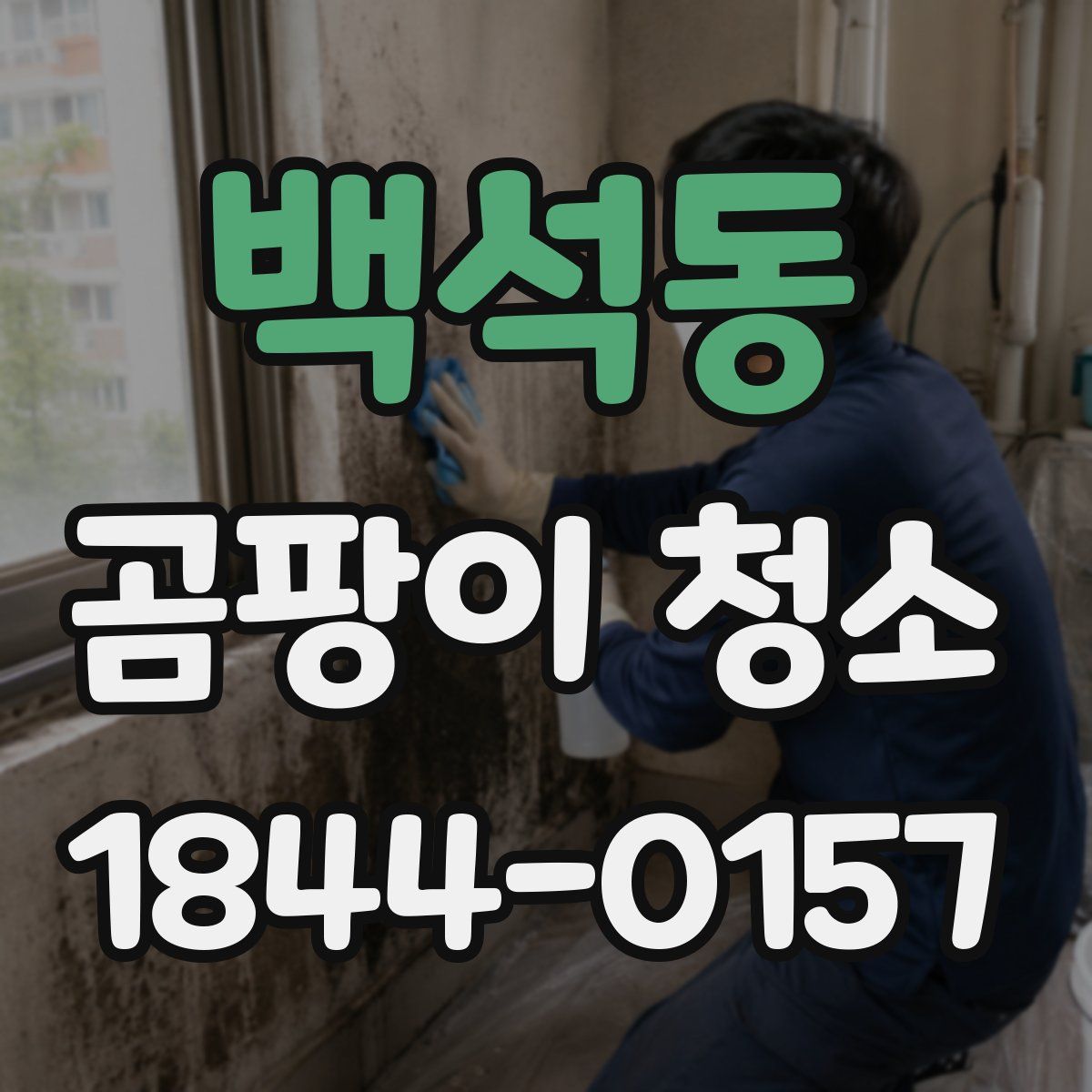 백석동 곰팡이 청소