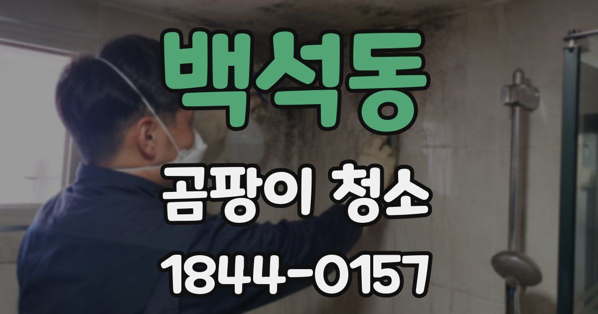 백석동 곰팡이 청소