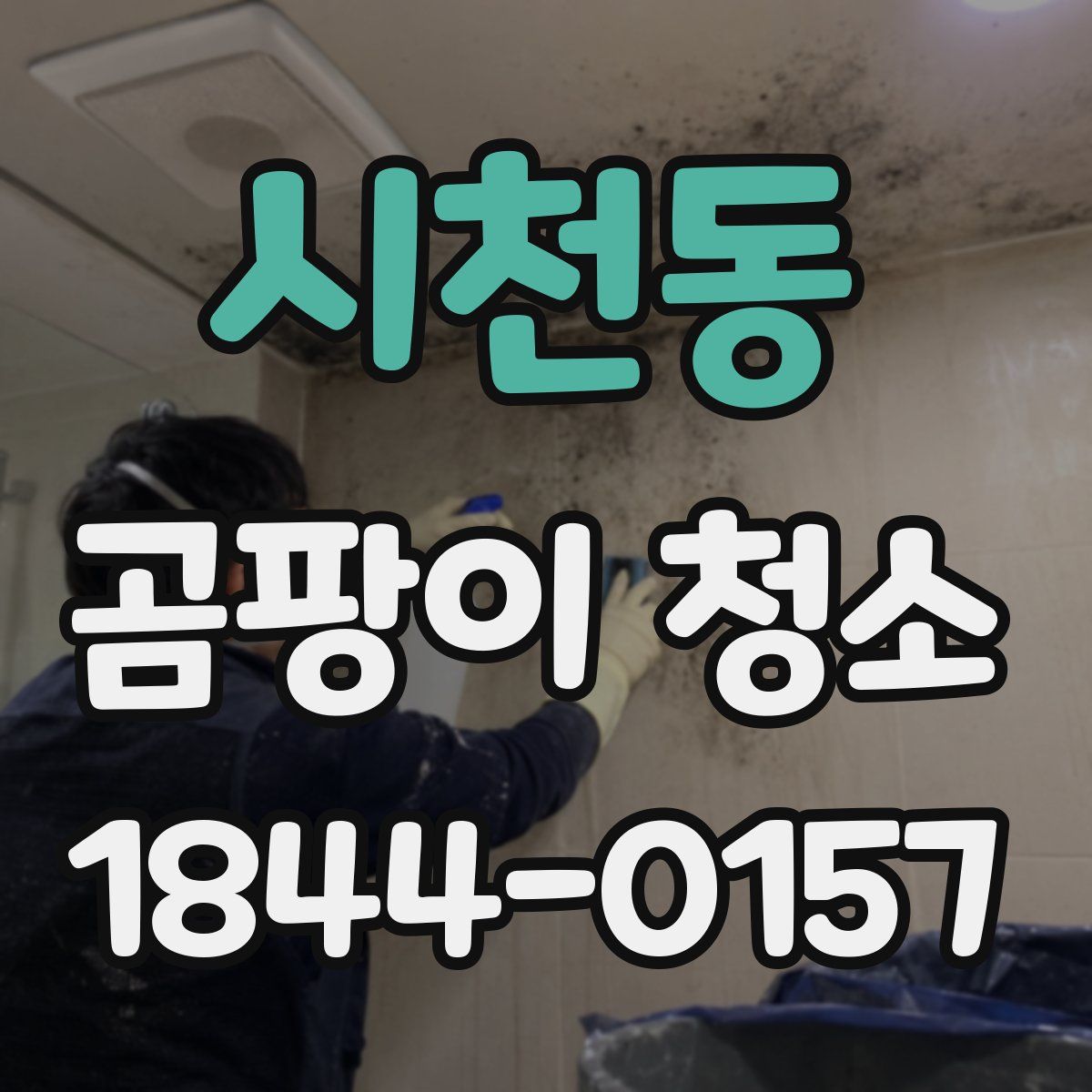 시천동 곰팡이 청소
