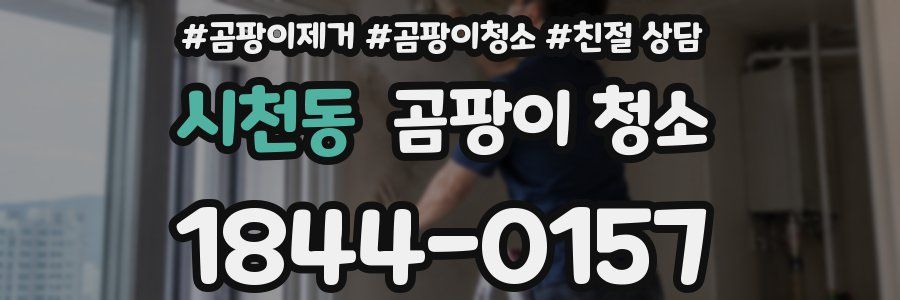시천동 곰팡이 청소