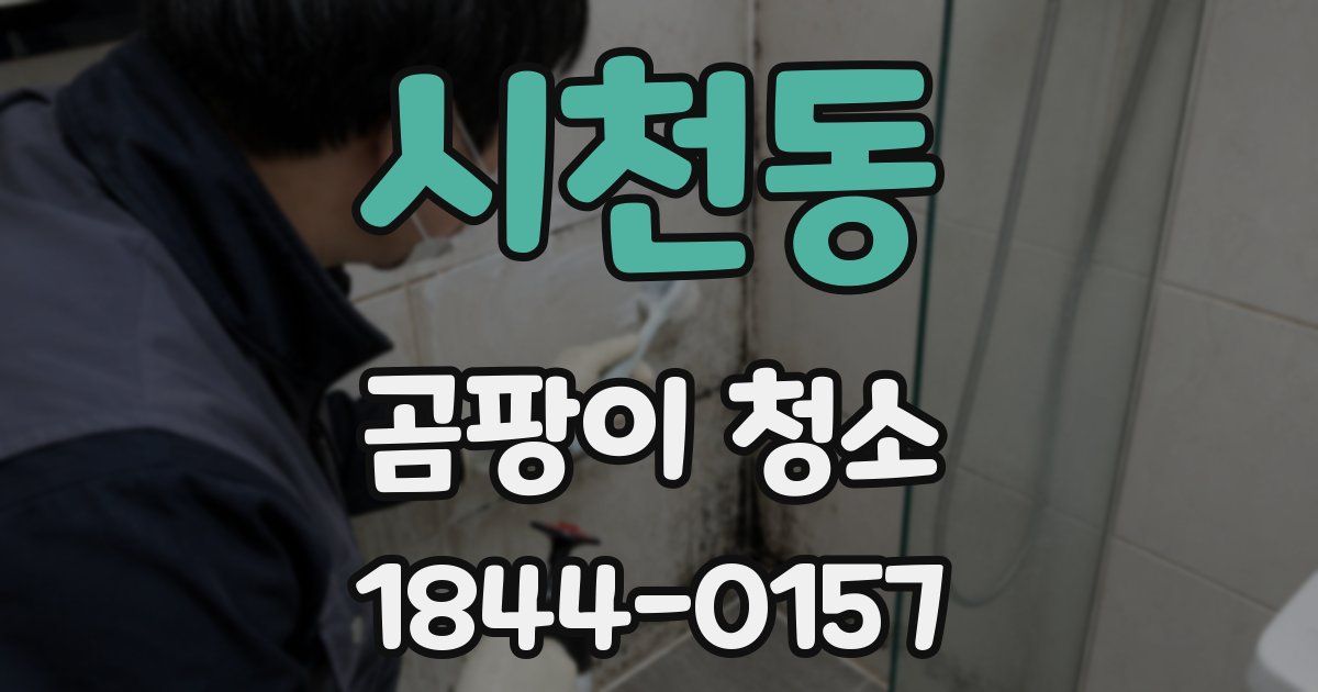 시천동 곰팡이 청소