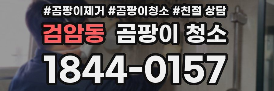 검암동 곰팡이 청소