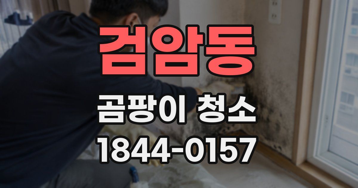 검암동 곰팡이 청소