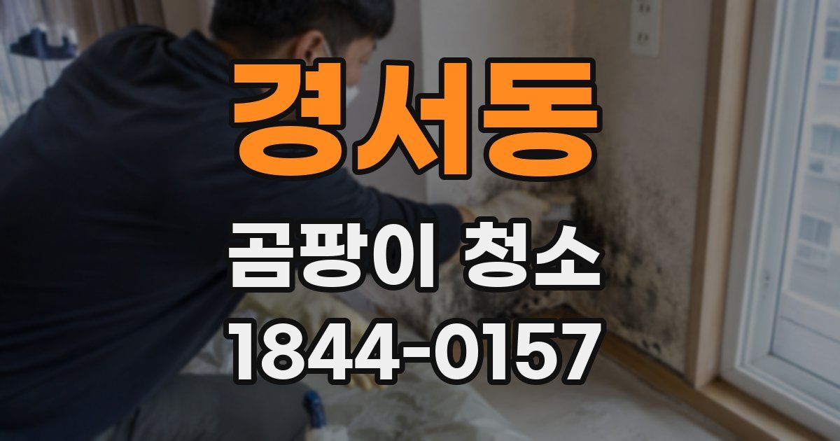 경서동 곰팡이 청소