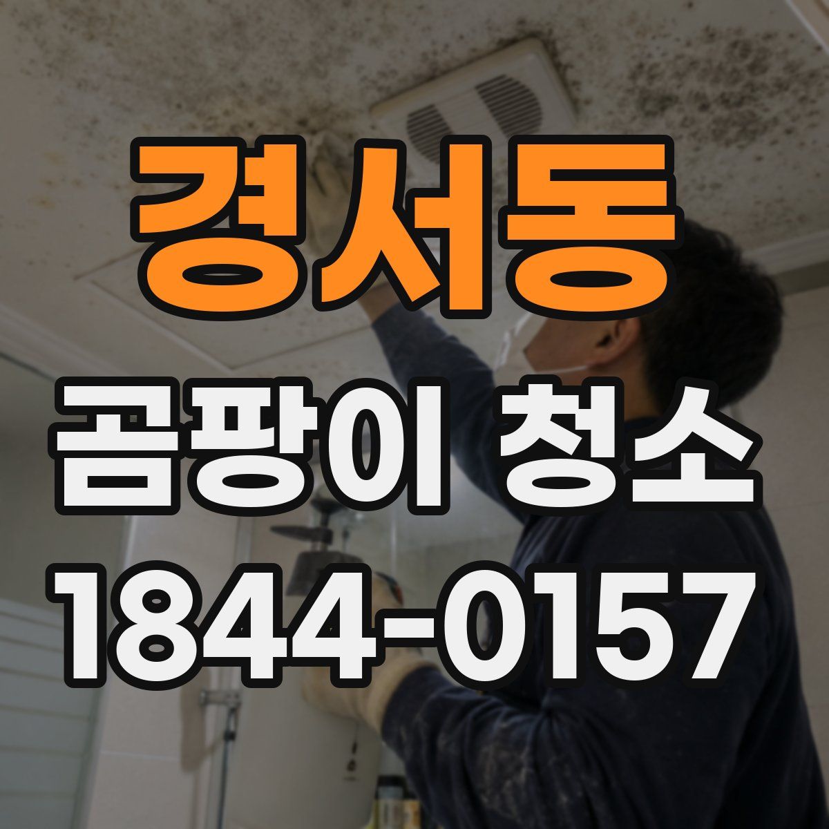 경서동 곰팡이 청소