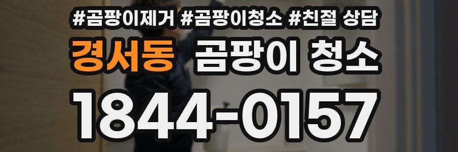 경서동 곰팡이 청소