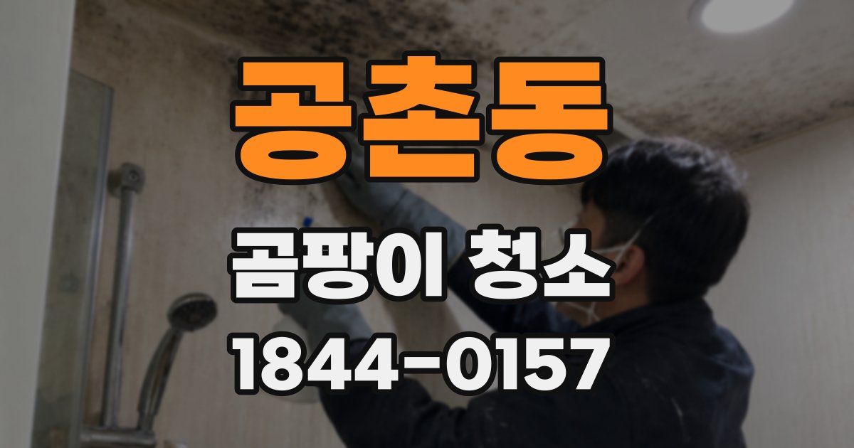 공촌동 곰팡이 청소