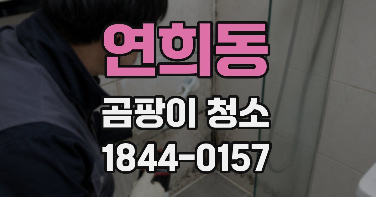 연희동 곰팡이 청소