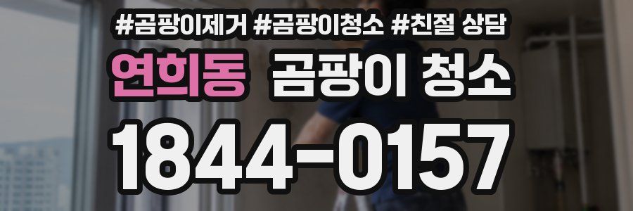 연희동 곰팡이 청소