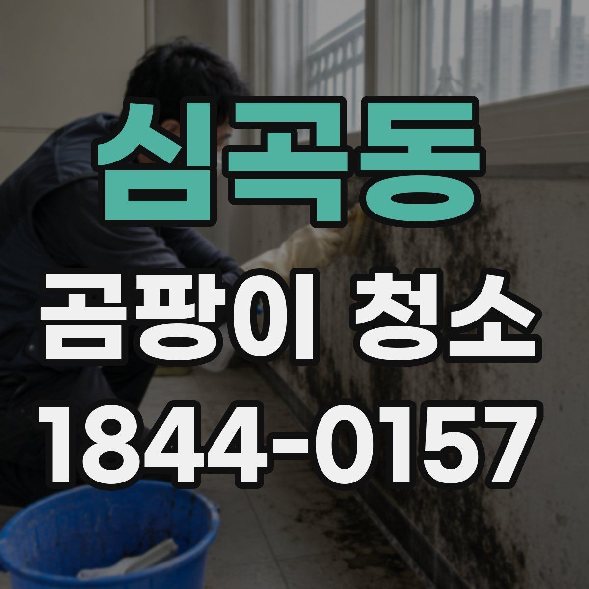 심곡동 곰팡이 청소 업체 상담 전에 정리할 질문