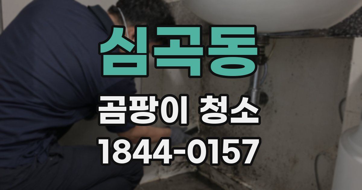 심곡동 곰팡이 청소