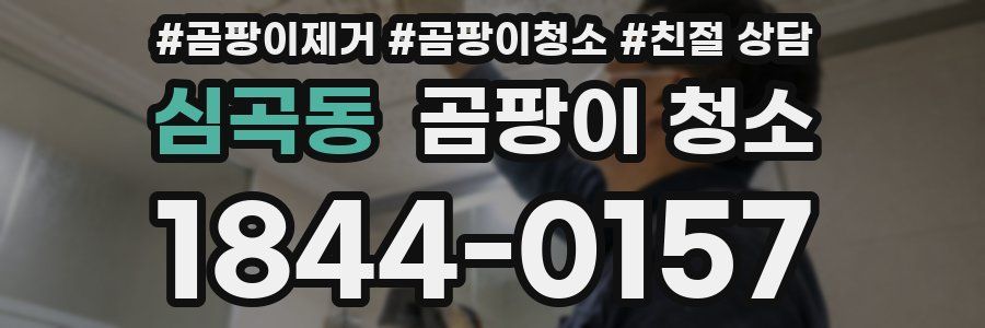 심곡동 곰팡이 청소