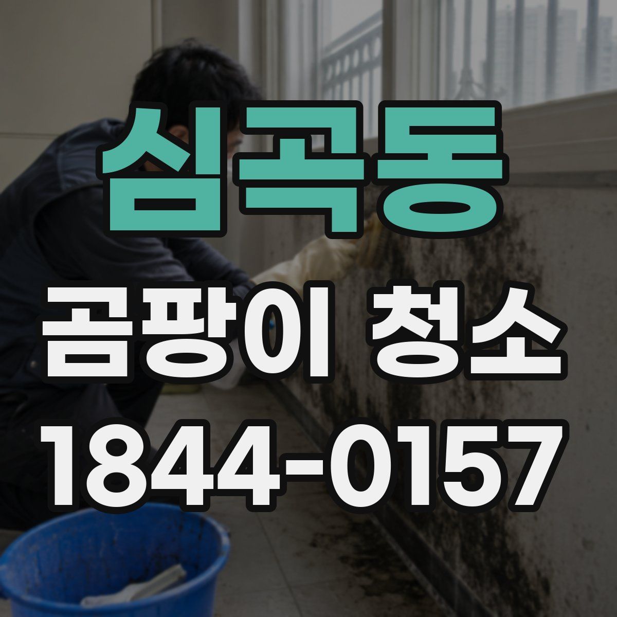 심곡동 곰팡이 청소