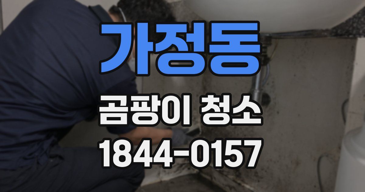 가정동 곰팡이 청소