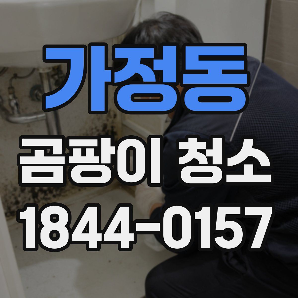 가정동 곰팡이 청소
