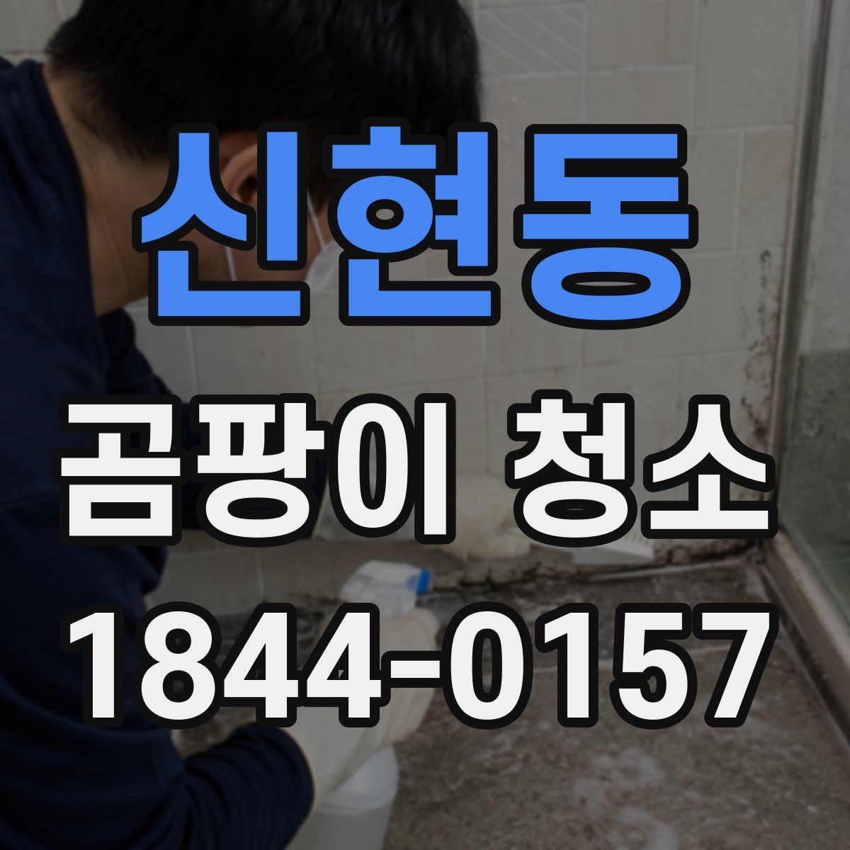 신현동 곰팡이 청소