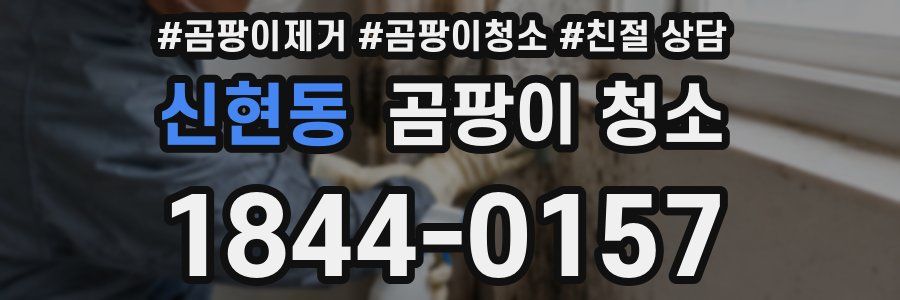 신현동 곰팡이 청소