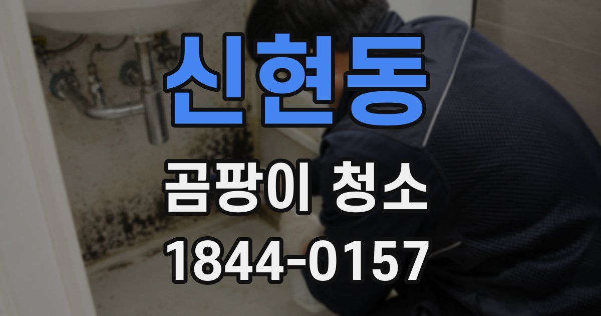 신현동 곰팡이 청소