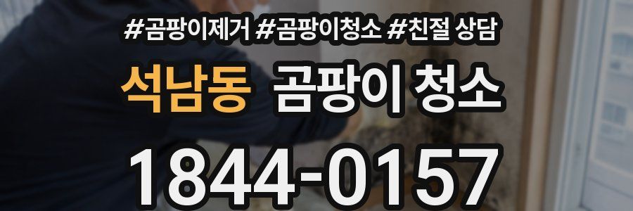 석남동 곰팡이 청소