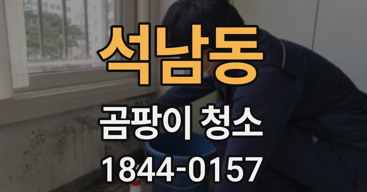 석남동 곰팡이 청소