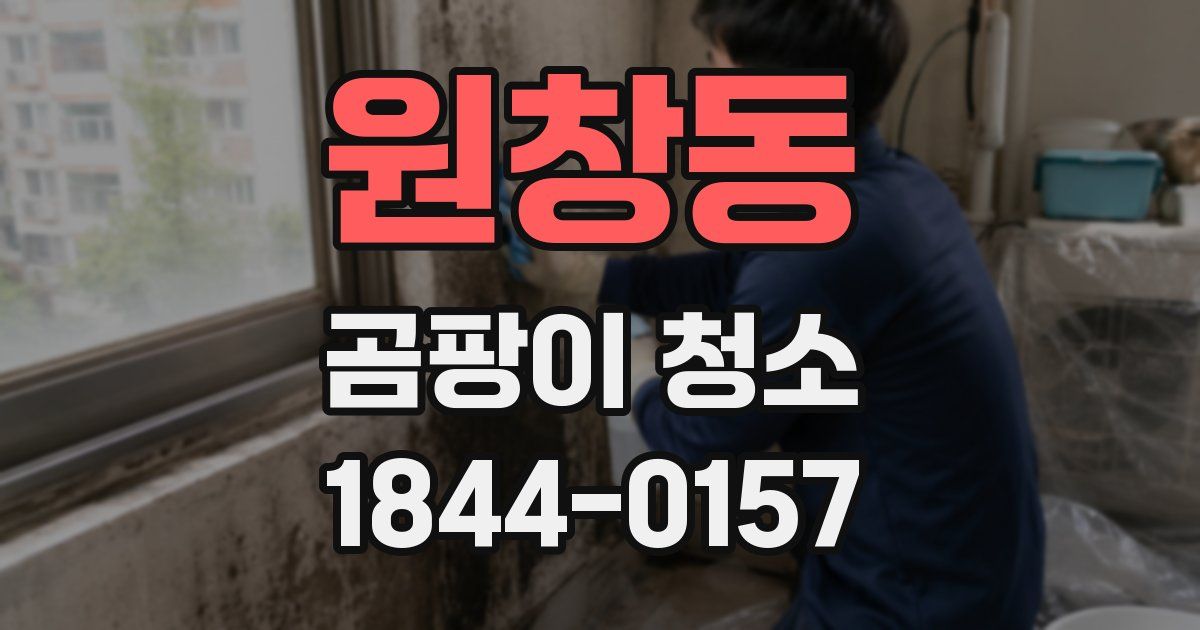 원창동 곰팡이 청소