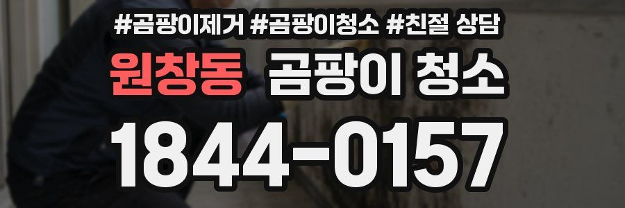 원창동 곰팡이 청소