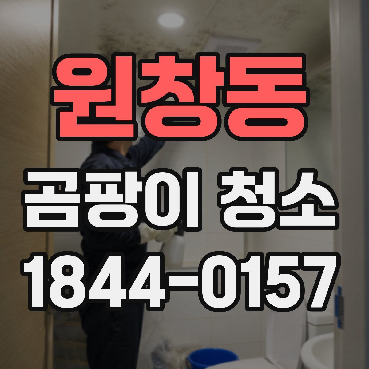 원창동 곰팡이 청소